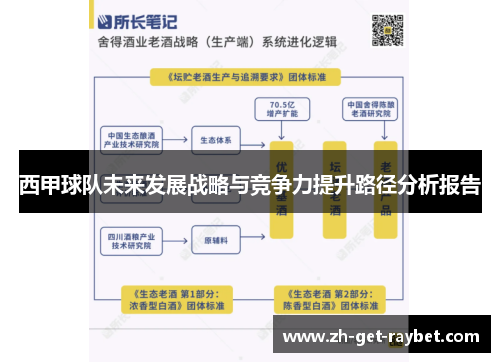 西甲球队未来发展战略与竞争力提升路径分析报告